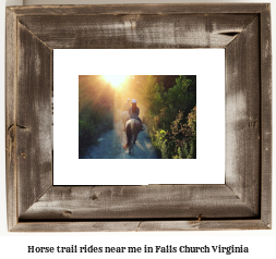 horse trail rides near me in Falls Church, Virginia